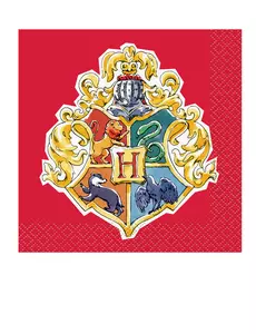 16 Petites serviettes Harry Potter™ 25 x 25 cm