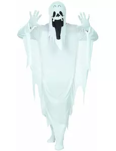 Spookkostuum voor volwassenen
