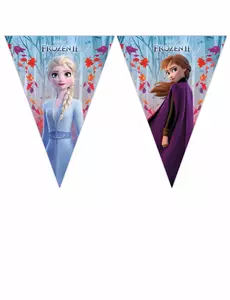 Frozen 2™ verjaardagsslinger