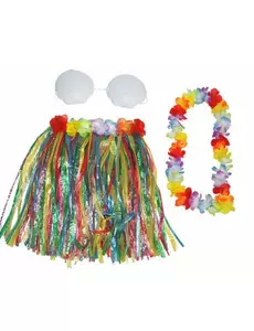 Kit déguisement Hawaï multicolore
