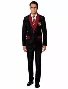 Costume Mr. Gryffondor™ adulte Suitmeister™, Taille: Small (EU 44–46)