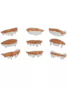 9 Dentiers effrayants Halloween