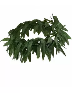 Hawaiiaanse haarband met tropische blaadjes