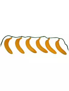 Ceinture banane adulte
