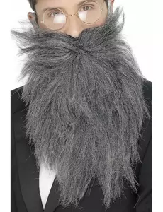 Barbe longue grise homme