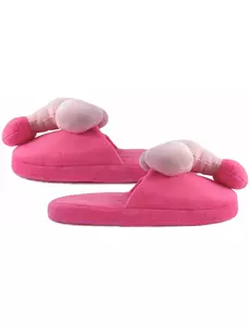 Chaussons humoristiques zizi adulte