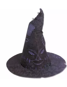 Choixpeau Harry Potter™ enfant