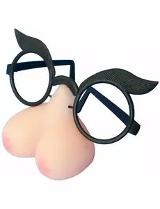 Lunettes humoristiques nibards adulte