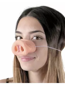 Nez cochon adulte