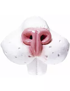Nez lapin adulte
