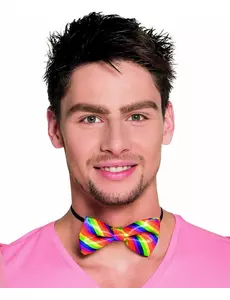 Noeud papillon multicolore adulte