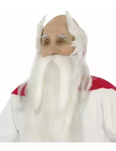 Perruque et barbe druide Panoramix™ - Astérix et Obélix™