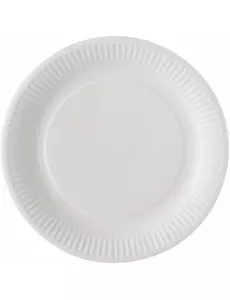 100 assiettes en papier blanc de 23 cm