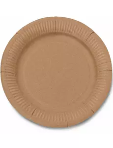 10 Kraft kartonnen borden 23 cm