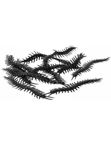 12 Mille-pattes noirs 13 cm Halloween