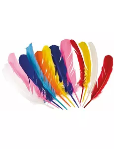 12 indianen pluimen 30 cm