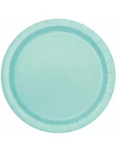 16 Assiettes en carton menthe 22 cm