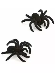 Set van twee Halloween spinnen