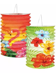 2 Hawaïlantaarns