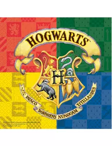 20 Serviettes en papier Harry Potter™ 33 x 33 cm