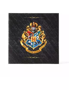 20 Serviettes en papier Harry Potter 33x 33 cm™