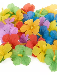 24 fleurs hawaïennes