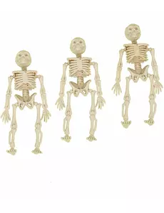 3 Petites décorations squelettes 12 cm