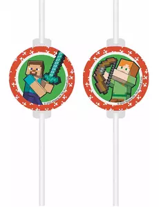 4 Minecraft™ papieren rietjes