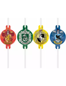 4 Pailles en carton Harry Potter™