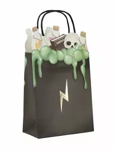 4 Sacs cadeaux en papier apprenti sorcier 20 cm