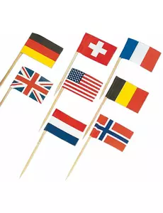 30 Mini piques drapeaux pays du monde