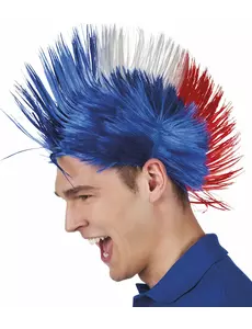 Perruque punk France