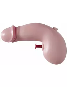 Ondeugend grappig waterpistool