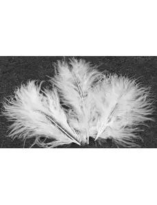 20 Witte decoratieve veren 5,5 cm