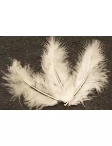 20 Ivoorkleurige decoratieve veren 5,5 cm