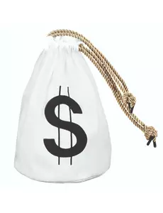 Sac dollar blanc 29 x 20 cm