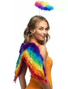Set regenboogengel volwassenen