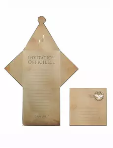 8 Invitations avec enveloppes apprenti sorcier 29 x 20 cm