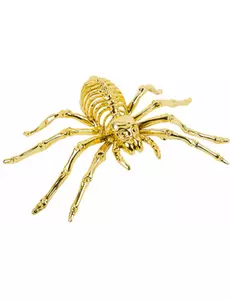 Araignée squelette dorée 12,5 x 20,5 cm