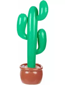Opblaasbare cactus
