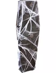 Doodskist met spinnenwebben decoratie Halloween