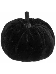 Zwart fluwelen pompoen 7 cm