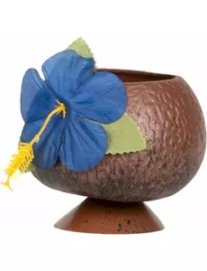 Coupe Hawaï noix de coco tropicale