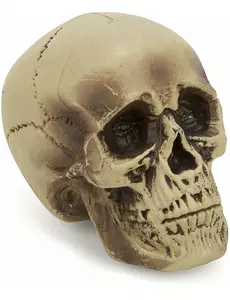 Décoration crâne plastique 18 cm