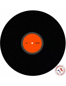 30 cm vinylplaat discodecoratie
