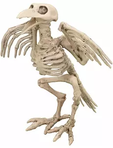 Décoration squelette de corbeau 19.5 cm Halloween