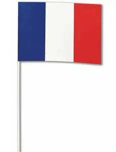 Drapeau papier France 14 x 21 cm