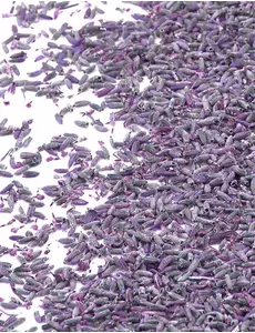 Sachet de 1 kg de fleurs de lavande naturelles