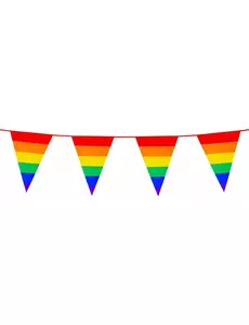10 m regenboog wimpelslinger