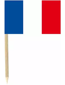 Lot de 50 drapeaux mini-piques France